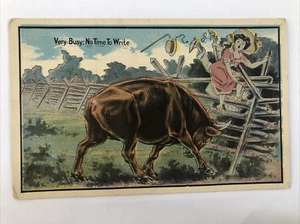 Very Busy, No TIme to Write, Bull Chasing Couple , Vintage Postcard Humor - Picture 1 of 7