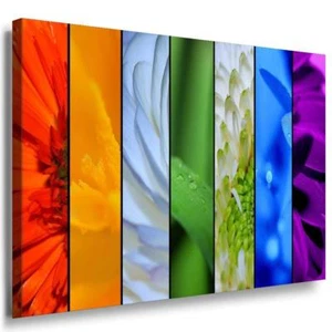 Blumen Makro Abstrakt Leinwandbild / AK Art Bilder / Mehrfarbig + Kunstdruck XXL - Bild 1 von 5