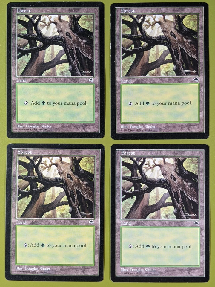 Forest (Skyward) x4 Tempest 4x Magic the Gathering MTG - Image 1 of 1