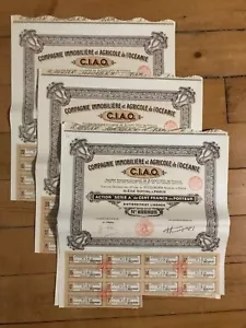 Lot de 20 actions: CIAO: Cie Immo. & Agricole de l'OCEANIE (A) - Bild 1 von 1