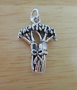 Sterling Silver 3D 20x15mm Solid Food Celery Vegetable Broccoli Rabe Charm - Picture 1 of 3