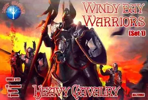 Juego de figuras Dark Alliance 1/72 WINDY BAY WARRIORS HEAVY CABALLERY - Imagen 1 de 3