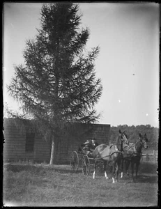 LATE 1800s or EARLY 1900s GLASS NEGATIVE,  TWO HORSES, WAGON, COUPLE - Picture 1 of 2