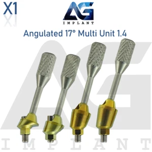 Angulated Multi Unit 1.4 Prosthetic Systerm 17° Hexagon 2.42mm With Screw - Picture 1 of 12