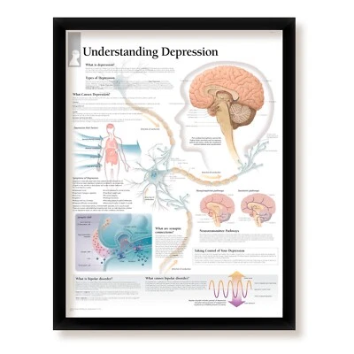 Understanding Depression, Framed Medical Educational Poster, 22x28 Wall Diagram Foto 1 de 4