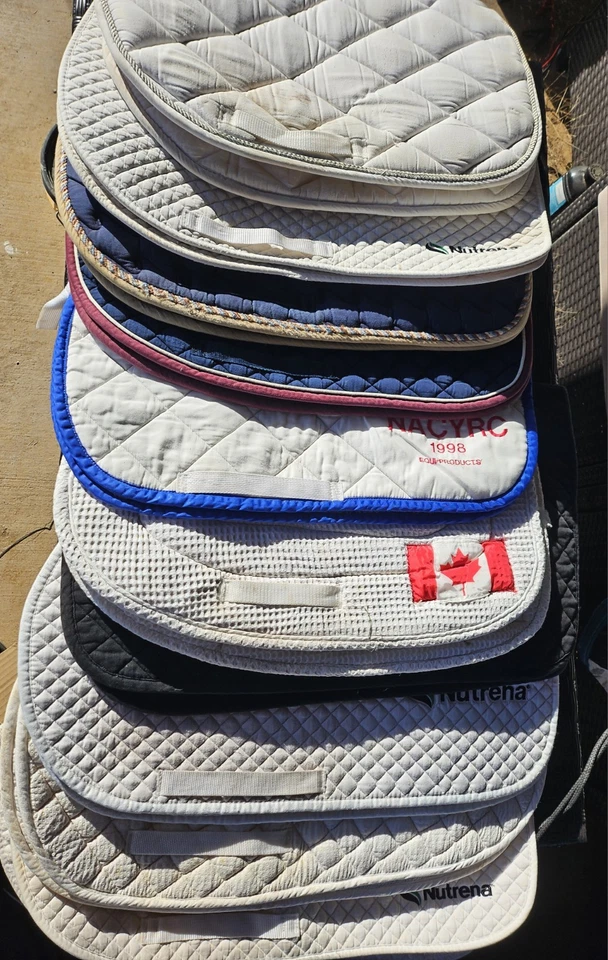 Dressage Saddle Pads-Set Of 10- Lightly Used - Image 1 of 1