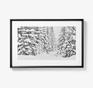 30"x20" Winter Tree Scene Framed Wall Art Print - Threshold designed with - Picture 1 of 2