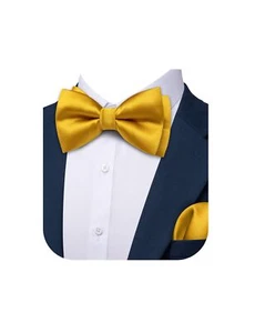 Boy Kids Bow Ties Pre-tied Silk Bow Tie Soild Paisley Handkerchief Set Adjust... - Picture 1 of 6