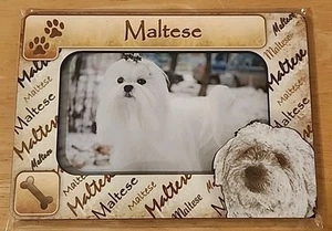 Perro maltés magnético 5"x 7" marco de madera imán de nevera 3"x5" interior nuevo en paquete - Imagen 1 de 3