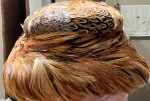 Vintage Women’s Ken Blair Pheasant Feather Hat 1950’s MCM Original Box Prop - Picture 1 of 9