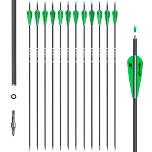 12-36Pcs 30" Archery Carbon Arrows Spine 500 Compound Recurve Bow Hunting Target - Picture 1 of 38