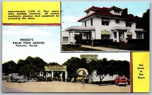 Postcard Palmetto Florida c1954 Brock’s Palm View Groves Dual View Old Cars - Imagen 1 de 2