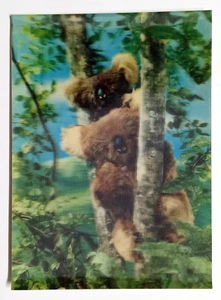 Koala Bears Stuffed Animals Lenticular Postcard 3D Asahi Japan UNP - Picture 1 of 2