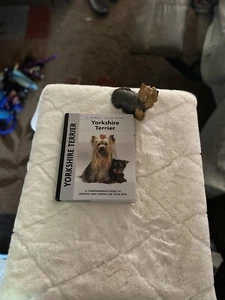Yorkshire Terrier (Hardcover) By Rachel Keyes Selling With Yorkshire Figurine - Picture 1 of 5