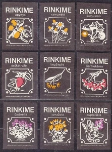 SU LTSR 1981 Matchbox Label #03/81 set 9, Pick wild plants. - Imagen 1 de 1