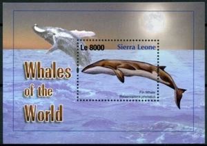 Sierra Leone 2010 MNH Whales of the World 1v S/S II Fin Whale Marine Mammals - Picture 1 of 1