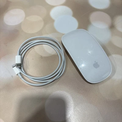 Apple A1657 Magic Mouse 2 Wireless Mouse  white/Silver  w/ USB-C to Lightning - Image 1 of 2