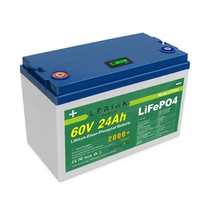 LiFePO4 Akku 60V 24Ah 1440Wh Lithium-Eisen-Phosphat Batterie für Camping Boot  - Picture 1 of 5