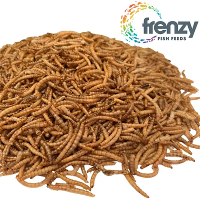 Natural Australian Sourced Dried Worm Aquarium Fish Food Mealworm Aqua Treat 35g - image 1 of 2