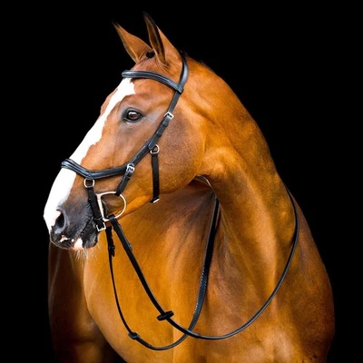 Micklem 2.0 Deluxe Competition Bridle, Black, Full - Image 1 of 2