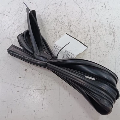 Sello de ventana de vidrio para puerta Ford Ecosport goma trasera izquierda 2018 2019 202 Foto 1 de 4