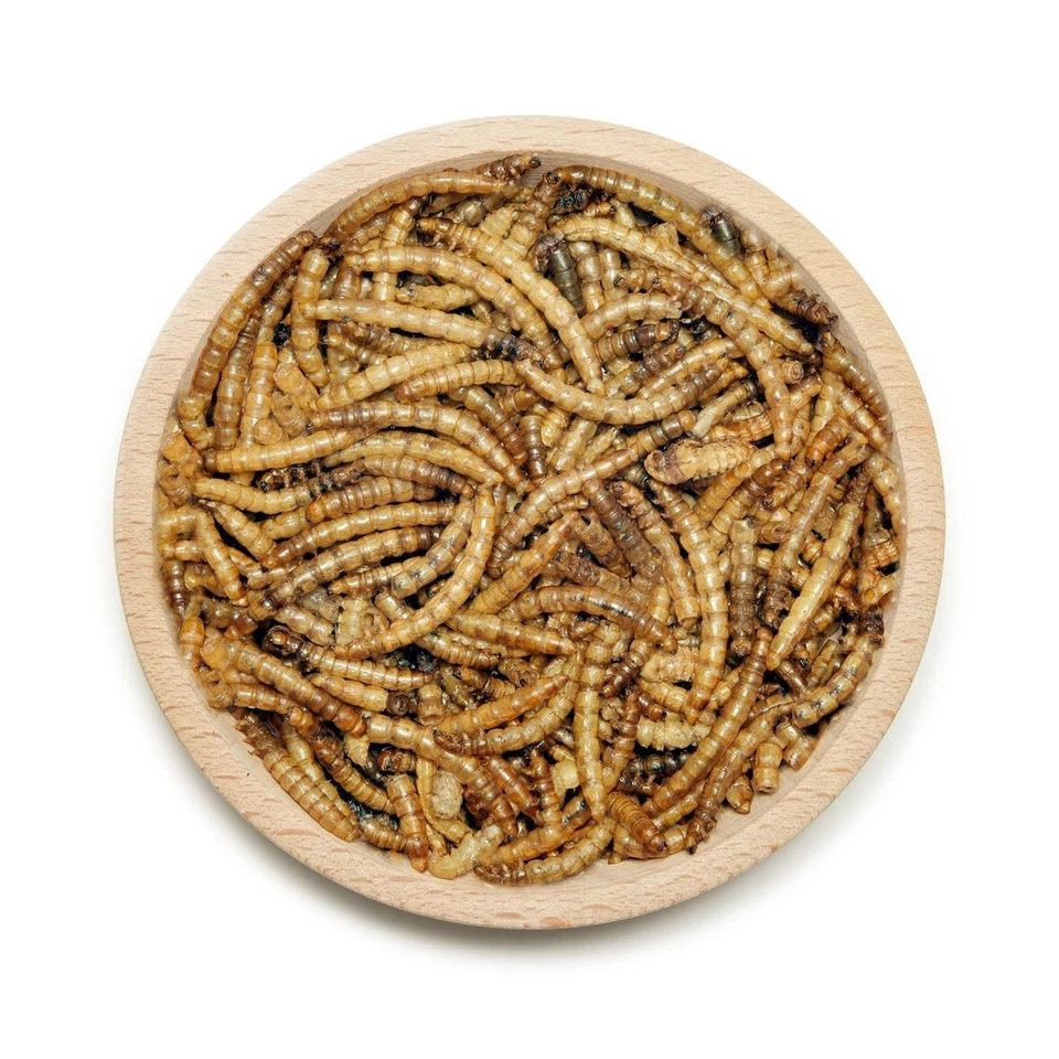 Mehlwürmer im Beutel Einzelfuttermittel a 5 Kg - Bild 1 von 1