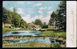 NASHUA~NEW HAMPSHIRE~ U S FISH HATCHERY POSTCARD N H Undivided back - Picture 1 of 2