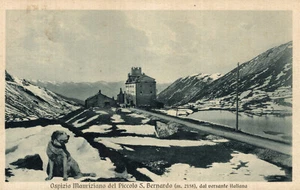 PICCOLO SAN BERNARDO, PETIT SAINT BERNARD, Aosta - L'Ospizio - Cani - VG - S009 - Picture 1 of 2
