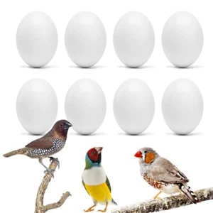 8Pcs Fake Bird Eggs, Stop Egg Laying fit Finch, Zebra, Gouldian, Artificial E... - Picture 1 of 4