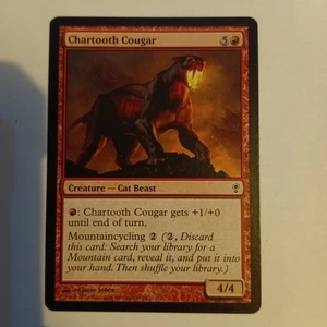 Chartooth Cougar Conspiracy Regular - Picture 1 of 1