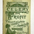 1909 W. Atlee Burpee Celery for Profit Modern Methods for Growing Celery Guide