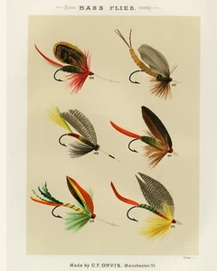 Druck oder Leinwand - Bassfliegen von Mary Orvis Marbury - Bild 1 von 1