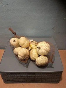 COSECHA OBJETIVO DECORACIÓN CALABAZAS TALLAS MIXTAS 6 EN UNA BOLSA LOTE DE 2 BOLSAS BLANCAS UG9 - Imagen 1 de 2