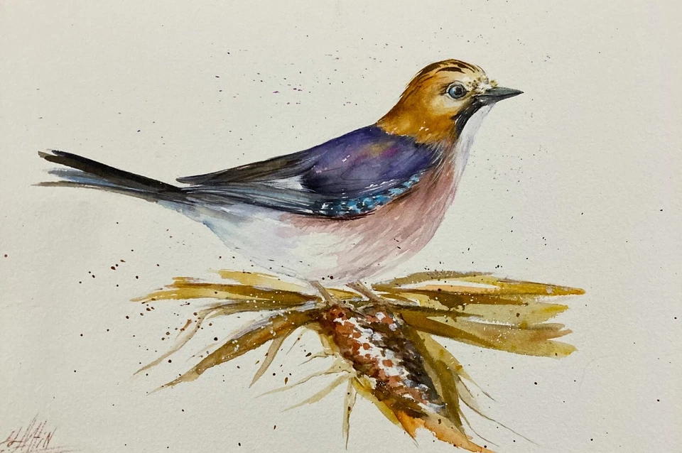  Pintura acuarela original Jay Bird  Foto 1 de 1