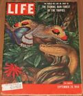 Vintage LIFE Magazine SEPT 20 1954, TROPIC RAIN FOREST PICTORIAL