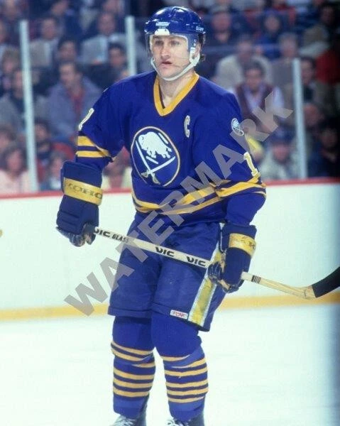 GILBERT PERREAULT St Louis Blues Glossy 8 x 10 Photo Print Foto 1 de 1