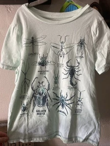 Peek Bugs T Shirt Kids 8 - Picture 1 of 2