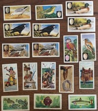 UNITED DAIRIES  18 x Cards:  BIRDS x 10 FISH x 3 THE WEST x 5 Job Lot Collection