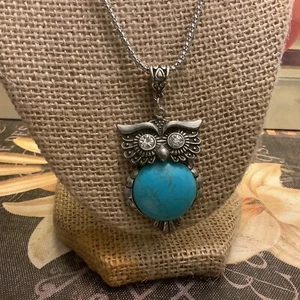 Owl Necklace~w/Rhinestone Eyes/Turquoise Body~Silvertone/Adjustable~Detailed~🦉~ - Picture 1 of 4