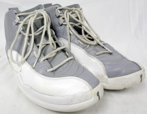 Authentic 2022 Nike Air Jordan 12 Retro Stealth Grey Basketball Shoes Size 10.5 - Picture 1 of 15