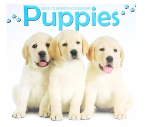 2025 Wall Calendar - Puppies -12 Month-12 x 24 Inches Brand New FAST DELIVERY - Picture 1 of 1