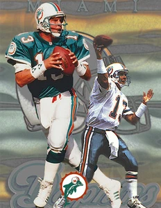 Miami Dolphins Lithograph print of Dan Marino - Picture 1 of 1