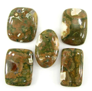 174.50 Ct Natural Rainforest Jasper Gemstone 28-31 mm Cabochon 5 Pcs Lot - 64847 - Picture 1 of 5