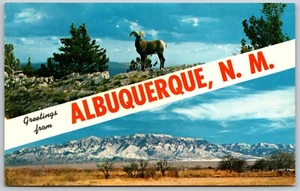 Postcard NM Greetings from Albuquerque Dual View Big Horn Sheep Sandia Mountains - Picture 1 of 2
