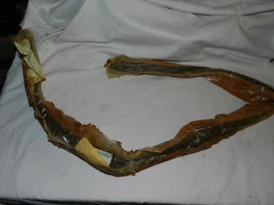 NOS MOPAR PART # 4198637 WEATHER STRIP / RUBBER SEAL - Picture 1 of 9
