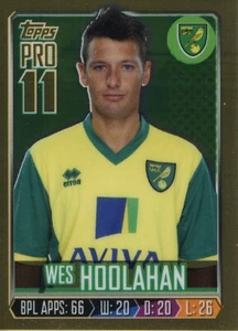 2013-14 TOPPS PREMIER GOLD PRO11 REWARD WES HOOLAHAN NORWICH CITY CARD - Picture 1 of 1