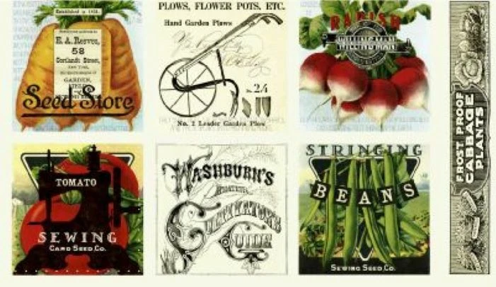 Sewing Seeds II Panel J Wecker Frisch Quilting Treasures 23x42 Large Blocks