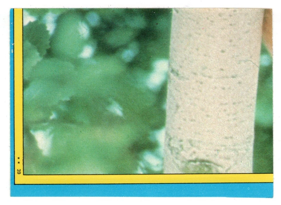 Supergirl Puzzle, Right row 1 - Supergirl - (Trading Card) 1984 Topps # 39 Mint - Image 1 of 1