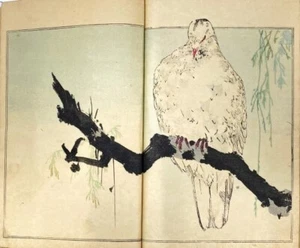 1890 Watanabe Seitei Kacho Gafu Komplettsatz 3 Bände Original Holzschnitt Buch - Bild 1 von 6