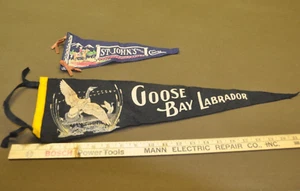 Vintage St Jhns Newfoundland & Goose Bay Labrador ,Canada, pennant - Picture 1 of 2